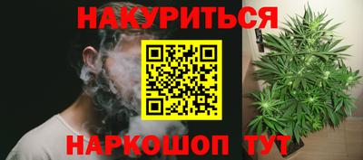 прущие крисы Кандалакша