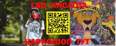 прущие крисы Кандалакша