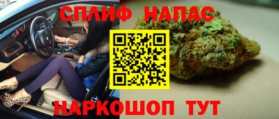 прущие крисы Кандалакша