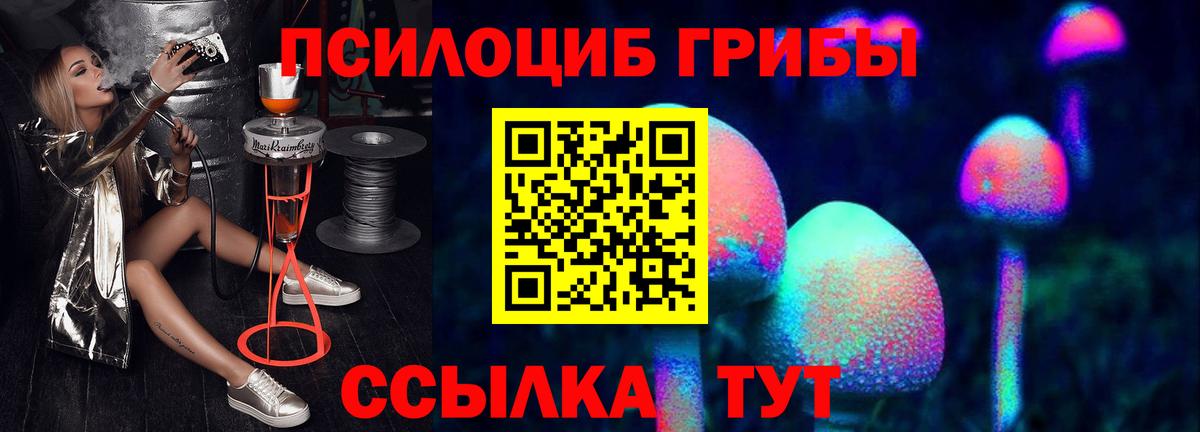 Псилоцибиновые грибы Cubensis  купить   Котлас  Вход с VPN  Псилоцибиновые грибы мухоморы 