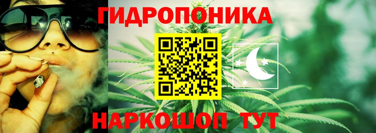Бошки Шишки индика Котлас